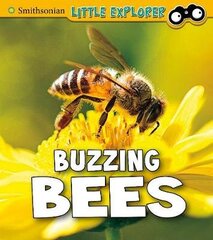 Buzzing Bees hind ja info | Noortekirjandus | kaup24.ee