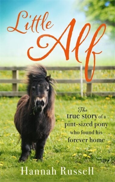 Little Alf: The true story of a pint-sized pony who found his forever home hind ja info | Tervislik eluviis ja toitumine | kaup24.ee