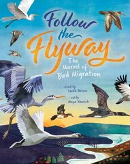 Follow the Flyway: The Marvel of Bird Migration hind ja info | Noortekirjandus | kaup24.ee