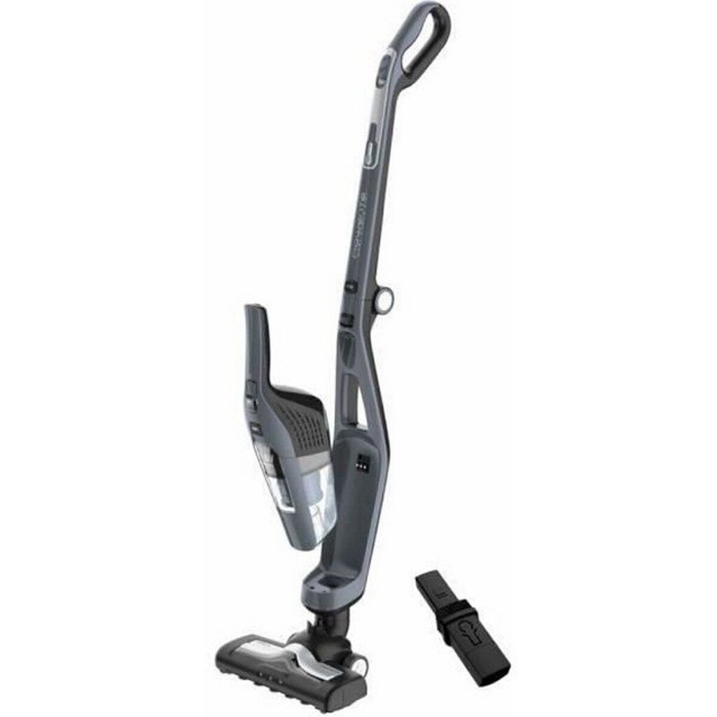 Rowenta Dual Force 2 in 1 hind ja info | Varstolmuimejad | kaup24.ee