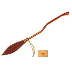 Harry Potter Nimbus 2000 luud hind ja info | Poiste mänguasjad | kaup24.ee