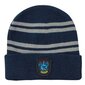 Mütsi ja kinnaste komplekt poistele Ravenclaw 11770, sinine hind ja info | Poiste mütsid, sallid, kindad | kaup24.ee
