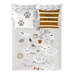 Panzup Cats voodipesukomplekt, 260 x 220, 3 tk hind ja info | Voodipesu | kaup24.ee