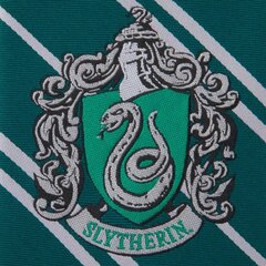 Harry Potter laste lips Slytherini logoga 6627 hind ja info | Laste aksessuaarid | kaup24.ee