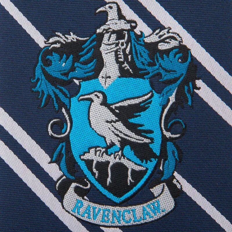 Harry Potter laste lips Ravenclaw logoga 6628 hind ja info | Laste aksessuaarid | kaup24.ee