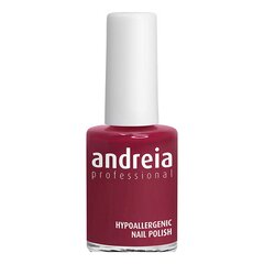 Лак для ногтей Andreia Nº 16, 14 мл цена и информация | Лаки для ногтей, укрепители для ногтей | kaup24.ee