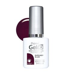 Küünte geellakk Gel iQ Beter Burgundy Blush (5 ml) цена и информация | Лаки для ногтей, укрепители для ногтей | kaup24.ee