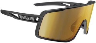 Спортивные очки Salice 022 Black RW Gold, черные цена и информация | Спортивные очки | kaup24.ee