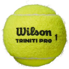 Välitennise pallid Wilson Triniti Pro, 4 tk hind ja info | Välitennise tooted | kaup24.ee