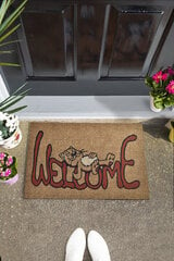 Дверной коврик Welcome Cat, 40x60 см цена и информация | Придверные коврики | kaup24.ee