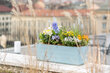 Rõdu lillekast isekastev Berberis 11 l 80 cm цена и информация | Lillekastid | kaup24.ee