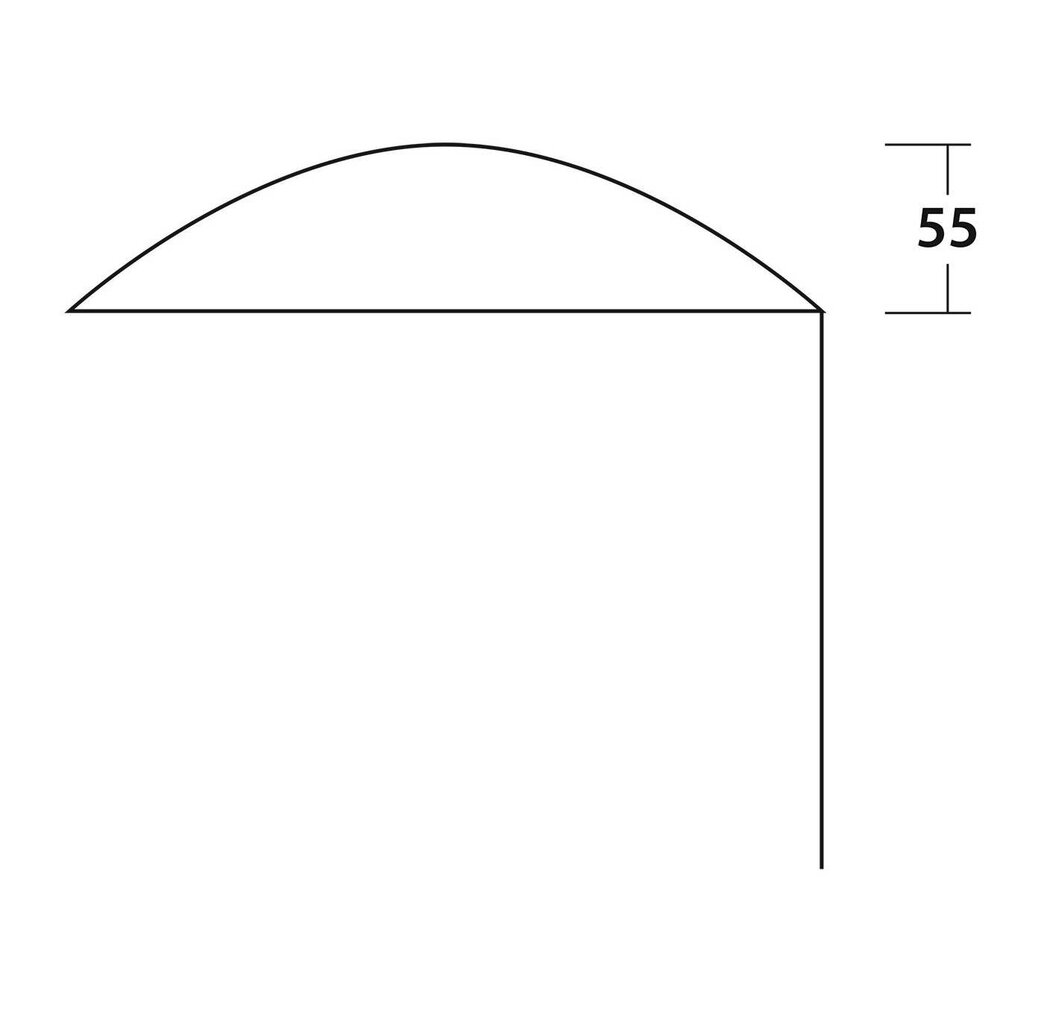 Varikatus Easy Camp Flex Canopy hind ja info | Telgid | kaup24.ee