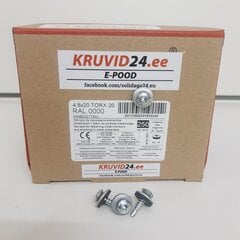 Katusekruvi AR0 4.8x20mm RAL 0000, TORX 20, 250tk/pakk цена и информация | Инструменты крепления | kaup24.ee