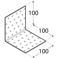 KM13 naelutusnurk – 100x100x100x2,0 mm цена и информация | Инструменты крепления | kaup24.ee