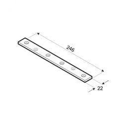 LW 250 Naelutusplaat 246x22x2,0 mm hind ja info | Kinnitusvahendid | kaup24.ee