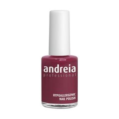 küünelakk Andreia Professional Hypoallergenic Nº 116 (14 ml) hind ja info | Küünelakid, küünetugevdajad | kaup24.ee