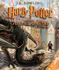 Harry Potter and the Goblet of Fire hind ja info | Noortekirjandus | kaup24.ee