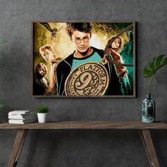 Värvi numbri järgi Raamis "Harry Potter" Oh Art! 40x50 cm hind ja info | Maalid numbri järgi | kaup24.ee