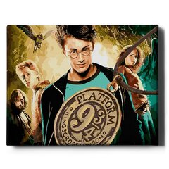 Värvi numbri järgi Raamis "Harry Potter" Oh Art! 40x50 cm hind ja info | Maalid numbri järgi | kaup24.ee