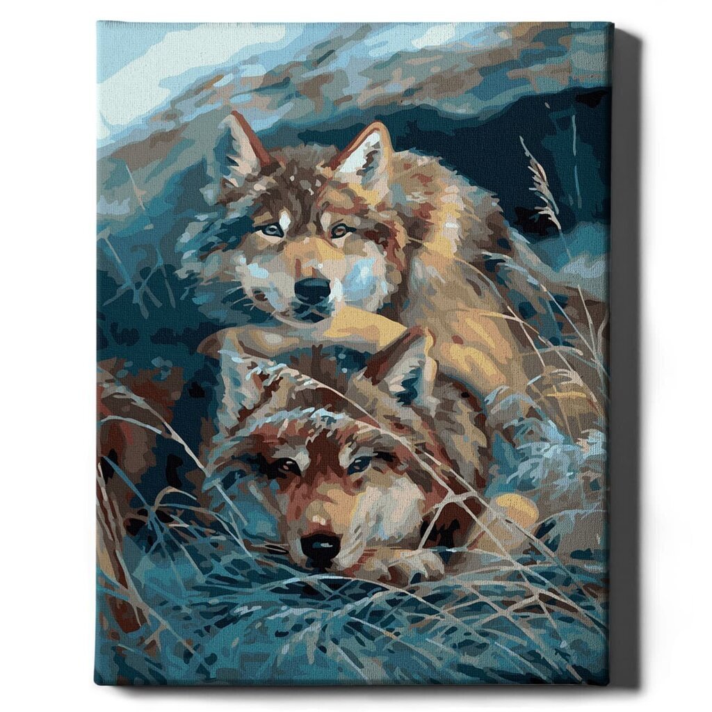 Värvi numbri järgi Raamis "Hundid rohu sees" Oh Art! 40x50 cm hind ja info | Maalid numbri järgi | kaup24.ee
