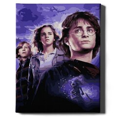 Värvi numbri järgi Raamis "Harry Potter" Oh Art! 40x50 cm hind ja info | Maalid numbri järgi | kaup24.ee