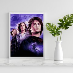 Värvi numbri järgi Raamis "Harry Potter" Oh Art! 40x50 cm hind ja info | Maalid numbri järgi | kaup24.ee