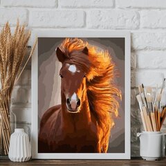 Värvi numbri järgi Raamis "Hobune" Oh Art! 40x50 cm hind ja info | Maalid numbri järgi | kaup24.ee