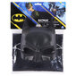 Batman kostüüm, keep ja mask hind ja info | Karnevali kostüümid | kaup24.ee