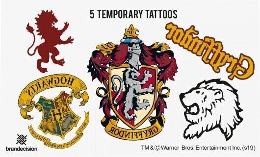 Võluri rüü Harry Potter Gryffindor, XS цена и информация | Karnevali kostüümid | kaup24.ee