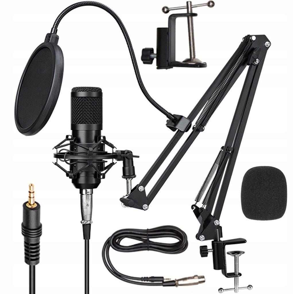 Mikrofon Pop- filtri ja USB-kaabliga цена и информация | Mikrofonid | kaup24.ee