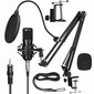 Mikrofon Pop- filtri ja USB-kaabliga цена и информация | Mikrofonid | kaup24.ee