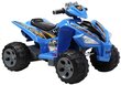 QUAD AMS quad jalgratas lastele, sinine hind ja info | Laste elektriautod | kaup24.ee