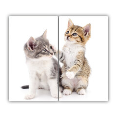 Tulup Lõikelaud Kaks väikest kassi, 2x30x52 cm hind ja info | Lõikelauad | kaup24.ee