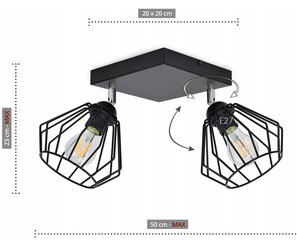 Потолочный светильник Luxolar цена и информация | Потолочные светильники | kaup24.ee