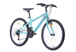 Велосипед женский 24'' ''TORINO'', тиффани синий цена и информация | Велосипеды | kaup24.ee