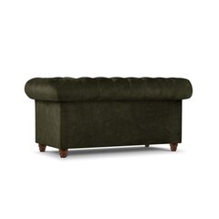 Двухместный диван Lapis, 170x90x80, темно-зеленый цена и информация | Диваны | kaup24.ee