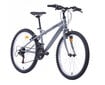 Jalgratas Bottari Torino 24'', hall цена и информация | Jalgrattad | kaup24.ee