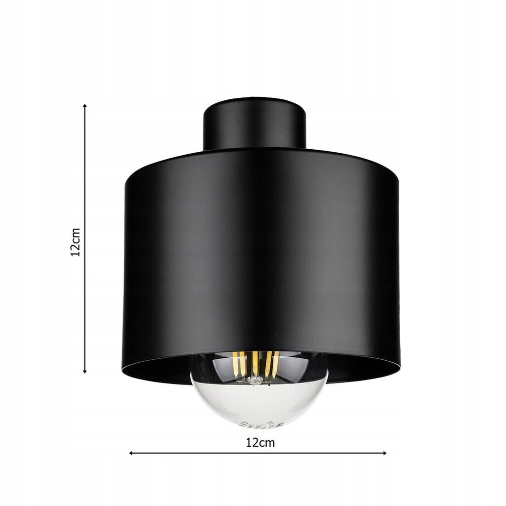 Ledlux ripplaevalgusti hind ja info | Rippvalgustid | kaup24.ee