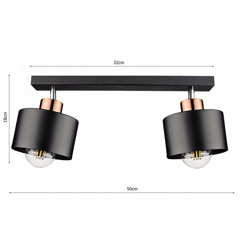 Ledlux laevalgusti hind ja info | Laelambid | kaup24.ee