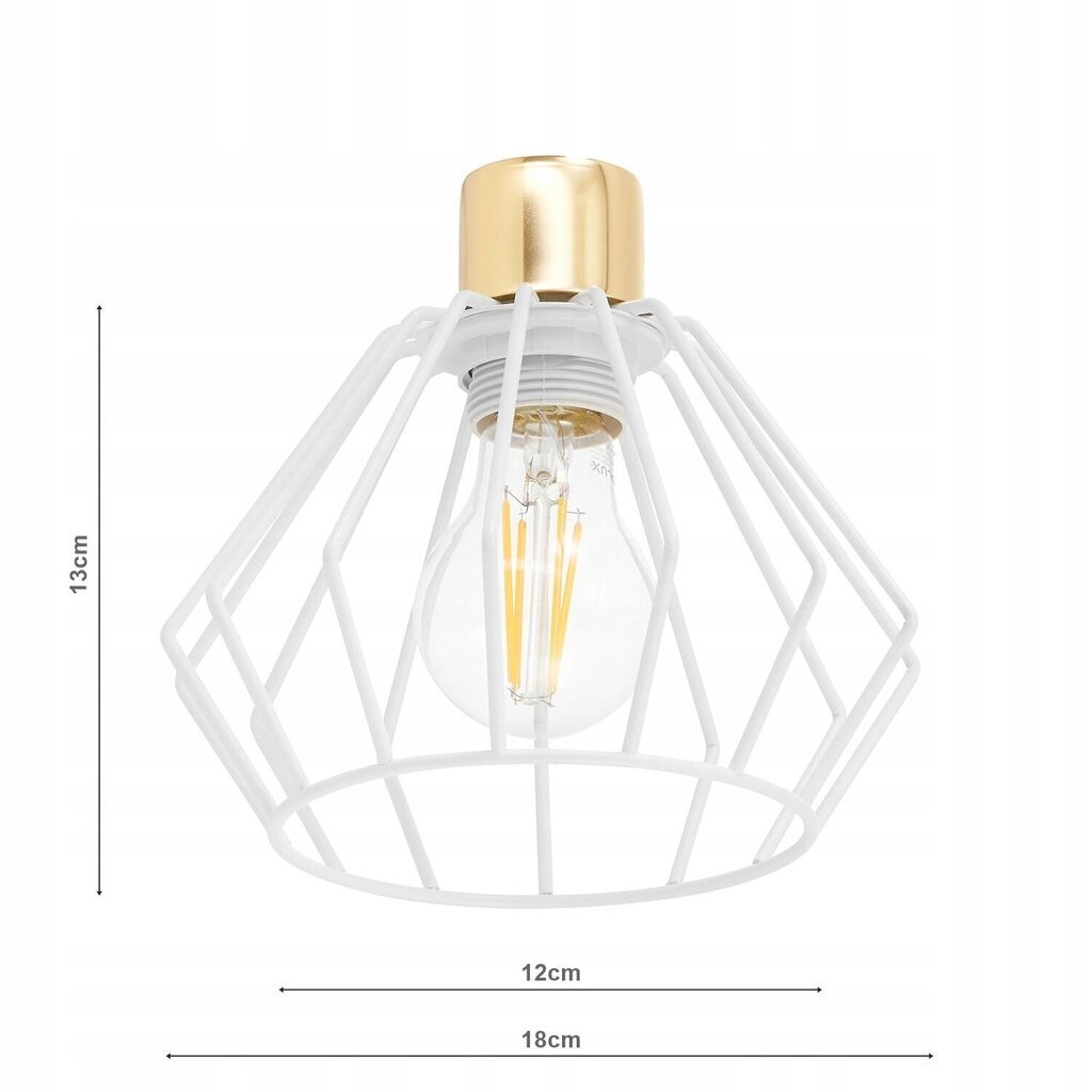 Ledlux ripplamp hind ja info | Rippvalgustid | kaup24.ee