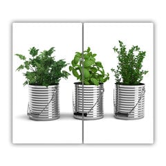 Tulup Lõikelaud Aromaatsed taimed, 2x30x52 cm цена и информация | Разделочная доска | kaup24.ee