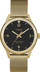 Timex Waterbury Traditional 34mm Часы с сетчатым ремешком из нержавеющей стали TW2T36400 цена и информация | Женские часы | kaup24.ee