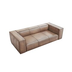 Трехместный кожаный диван Agawa, 227x100x68 см, бежевый цена и информация | Диваны | kaup24.ee