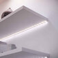 LED ribad Philips Wiz 880 Lm, 1 m цена и информация | LED ribad | kaup24.ee