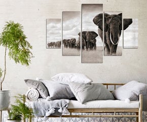 Репродукция из пяти частей Слоны цена и информация | Картины, живопись | kaup24.ee
