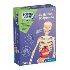 Развивающая игра Clementoni Human Body Mini цена и информация | Развивающие игрушки и игры | kaup24.ee