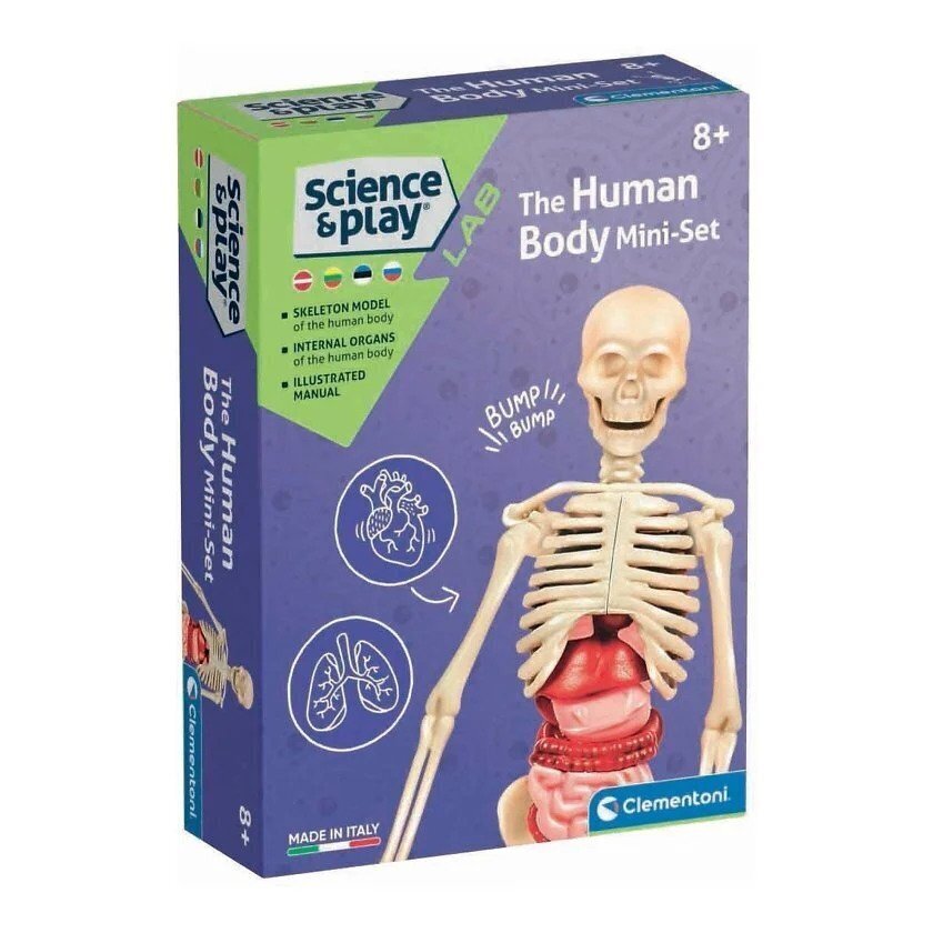 Õppemäng Clementoni Human Body Mini hind ja info | Arendavad mänguasjad | kaup24.ee