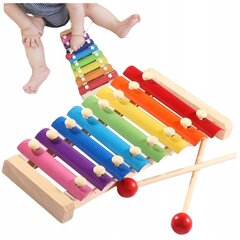 Laste muusikariist цена и информация | Развивающие игрушки | kaup24.ee