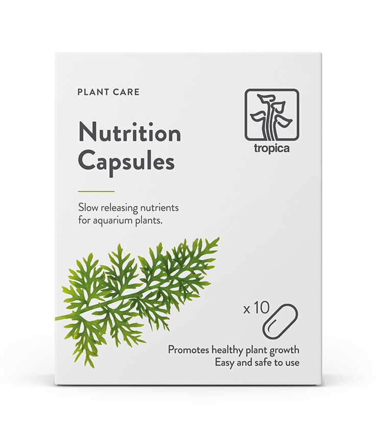 Tropica Nutrition Capsules 10 pcs цена и информация | Akvaariumid ja seadmed | kaup24.ee