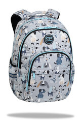 Рюкзак CoolPack Basic Plus 17" Doggy F003694 цена и информация | Школьные рюкзаки, спортивные сумки | kaup24.ee